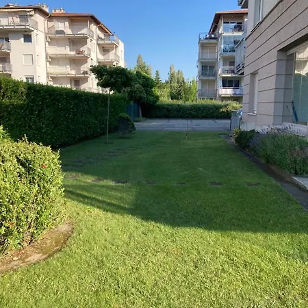 Summer Vibe شيوفوك