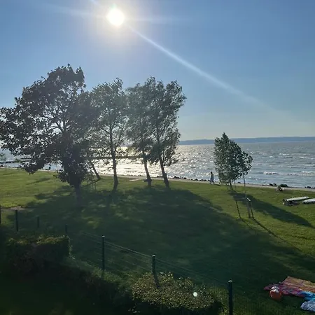 Summer Vibe