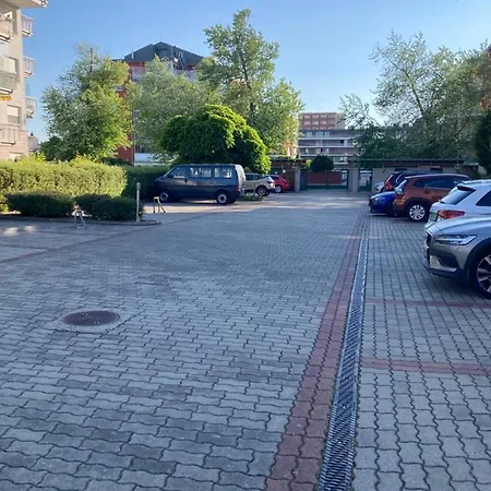 Summer Vibe * شيوفوك